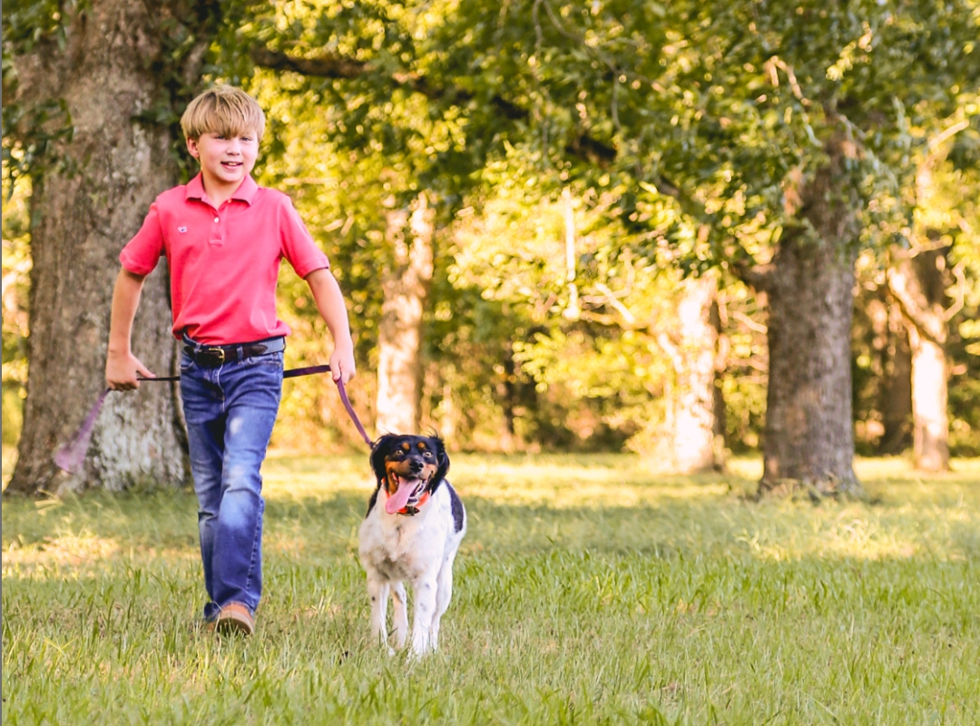 Header image - mobile